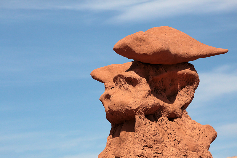 Bison : Antelope Island : Utah : Landscape Photos : Richard Moore : Photographer